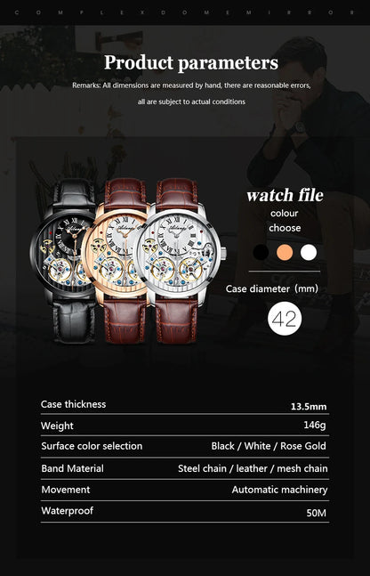 AILANG Double Tourbillon Automatic Flying Waterproof Relogio Leather Men Wristwatch